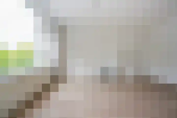 Pannekoekhof 72 C Rotterdam thumbnail 6