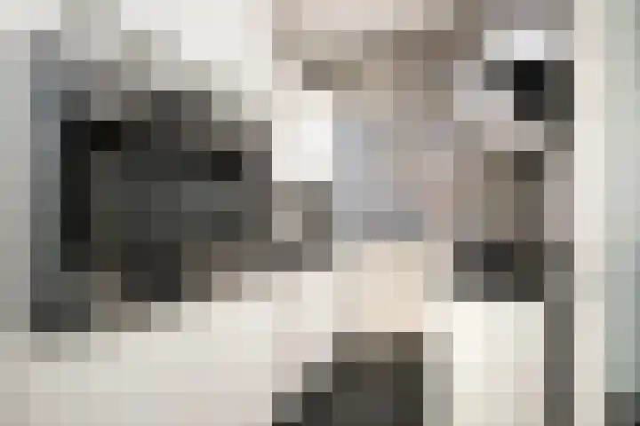 Pannekoekhof 72 C Rotterdam thumbnail 8