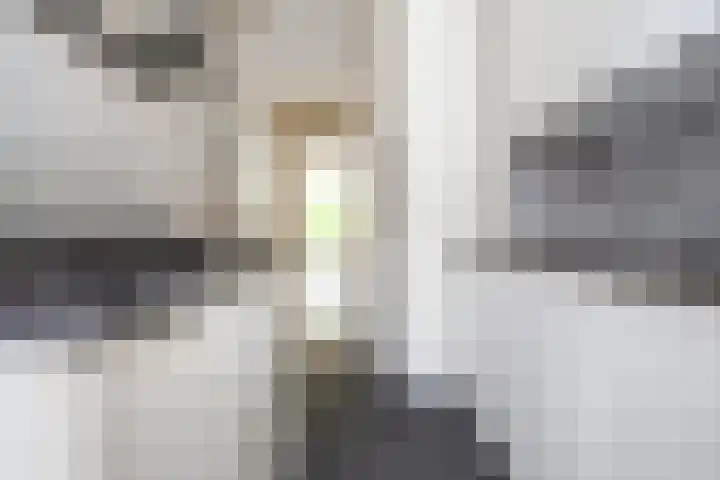Pannekoekhof 72 C Rotterdam thumbnail 9