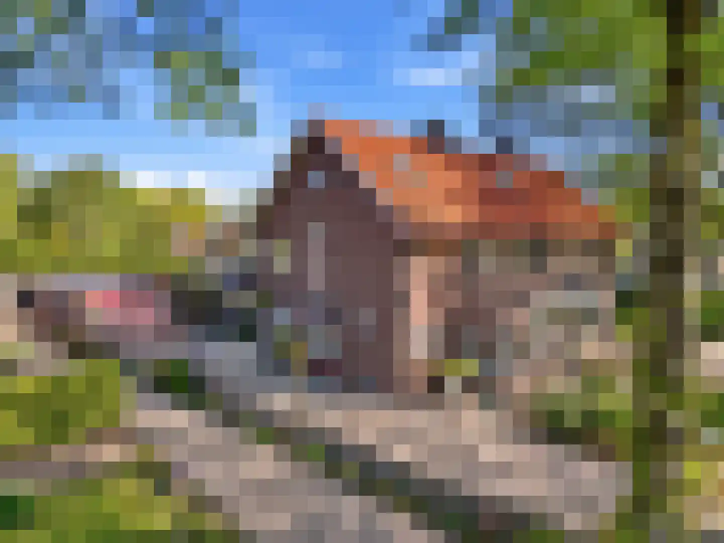 Pannekoeklaan 11 Heelsum