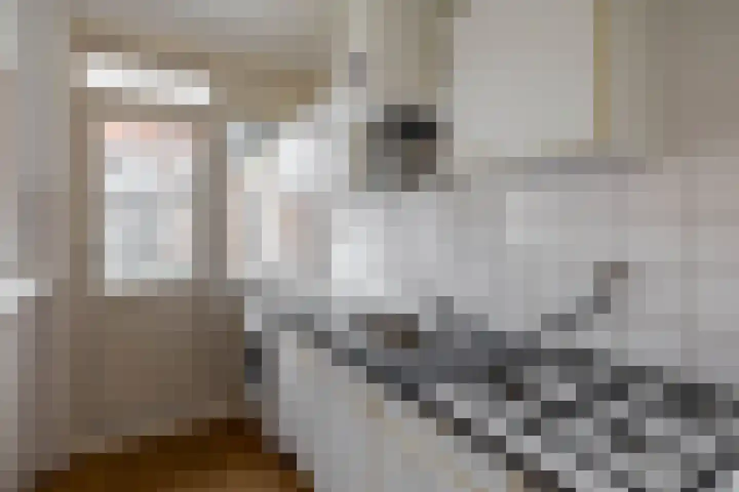 Pannekoekstraat 24 B Rotterdam thumbnail 20