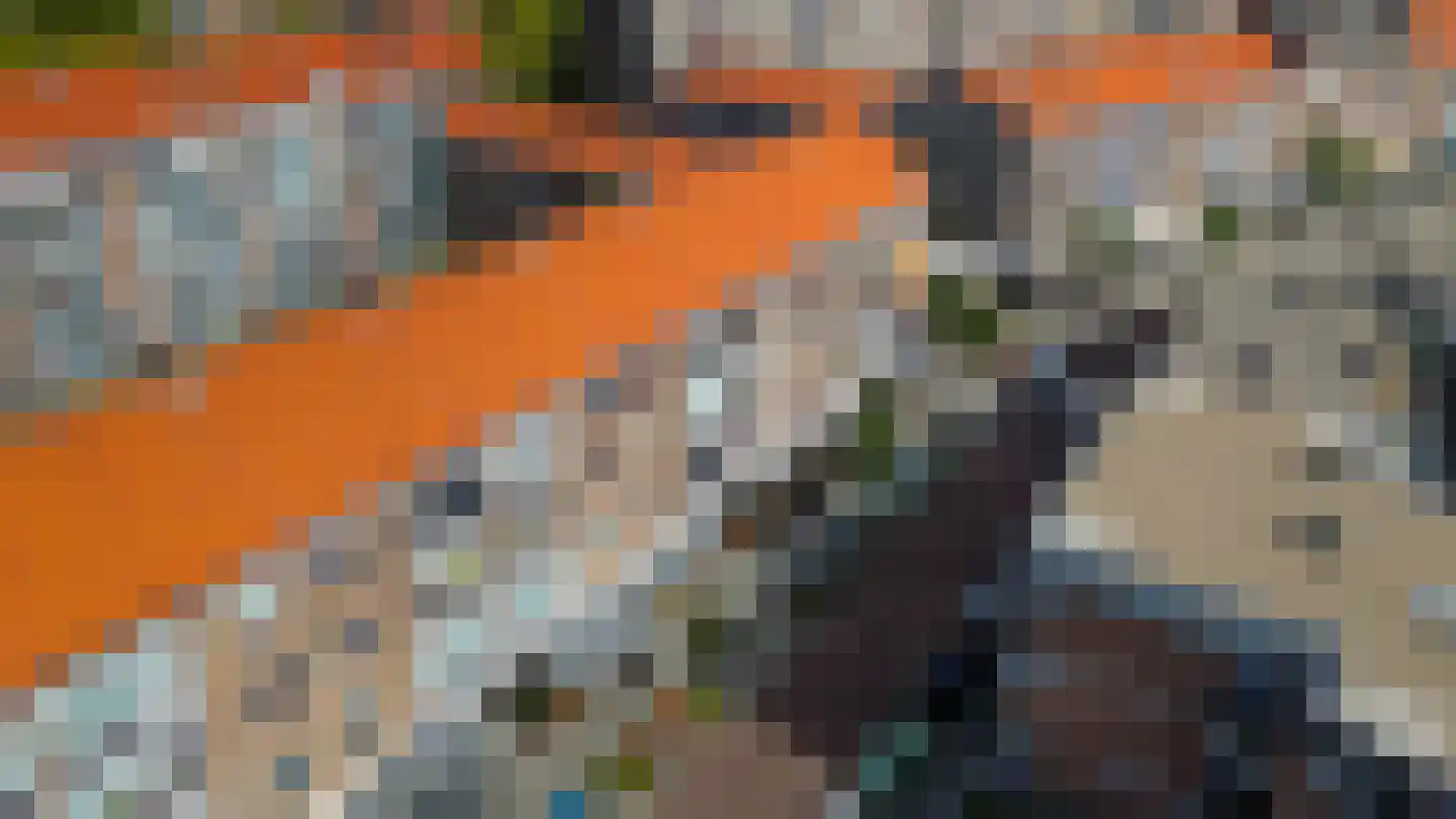 Pannekoekstraat 24 B Rotterdam thumbnail 30