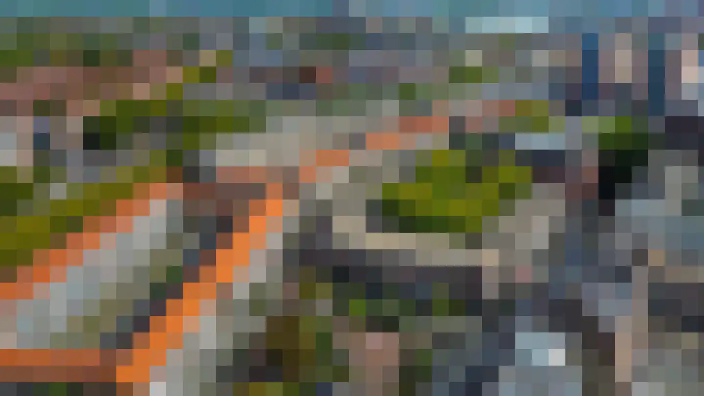 Pannekoekstraat 24 B Rotterdam thumbnail 33