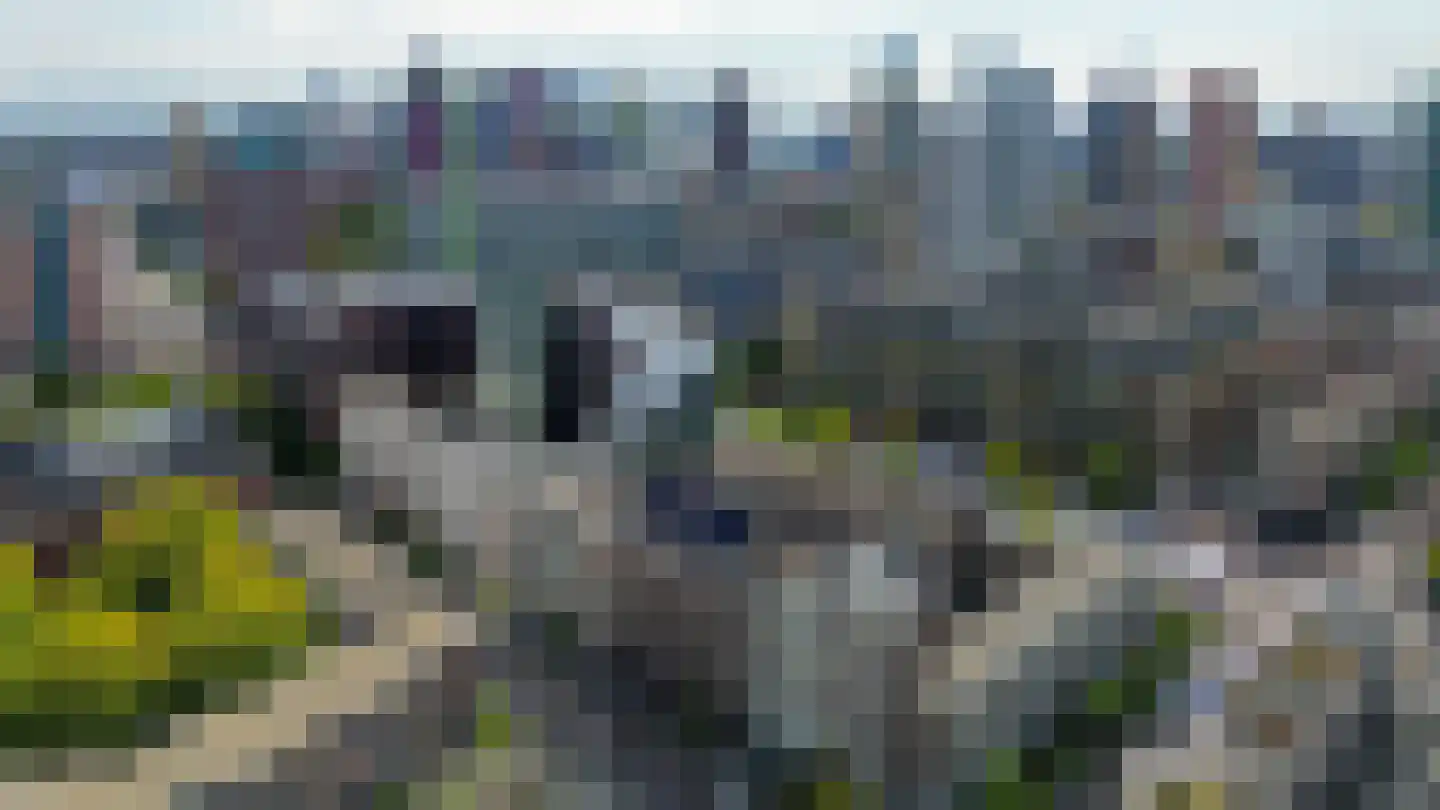Pannekoekstraat 24 D Rotterdam thumbnail 34