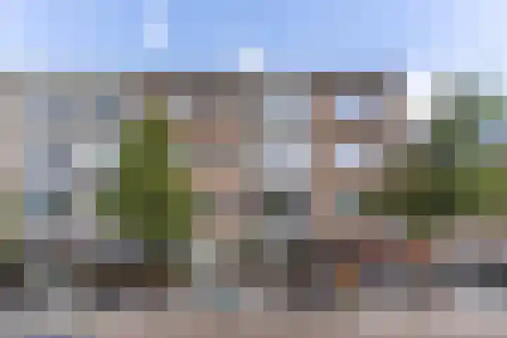Pannekoekstraat 64 A Rotterdam thumbnail 28