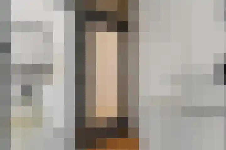 Pannekoekstraat 64 A Rotterdam thumbnail 8