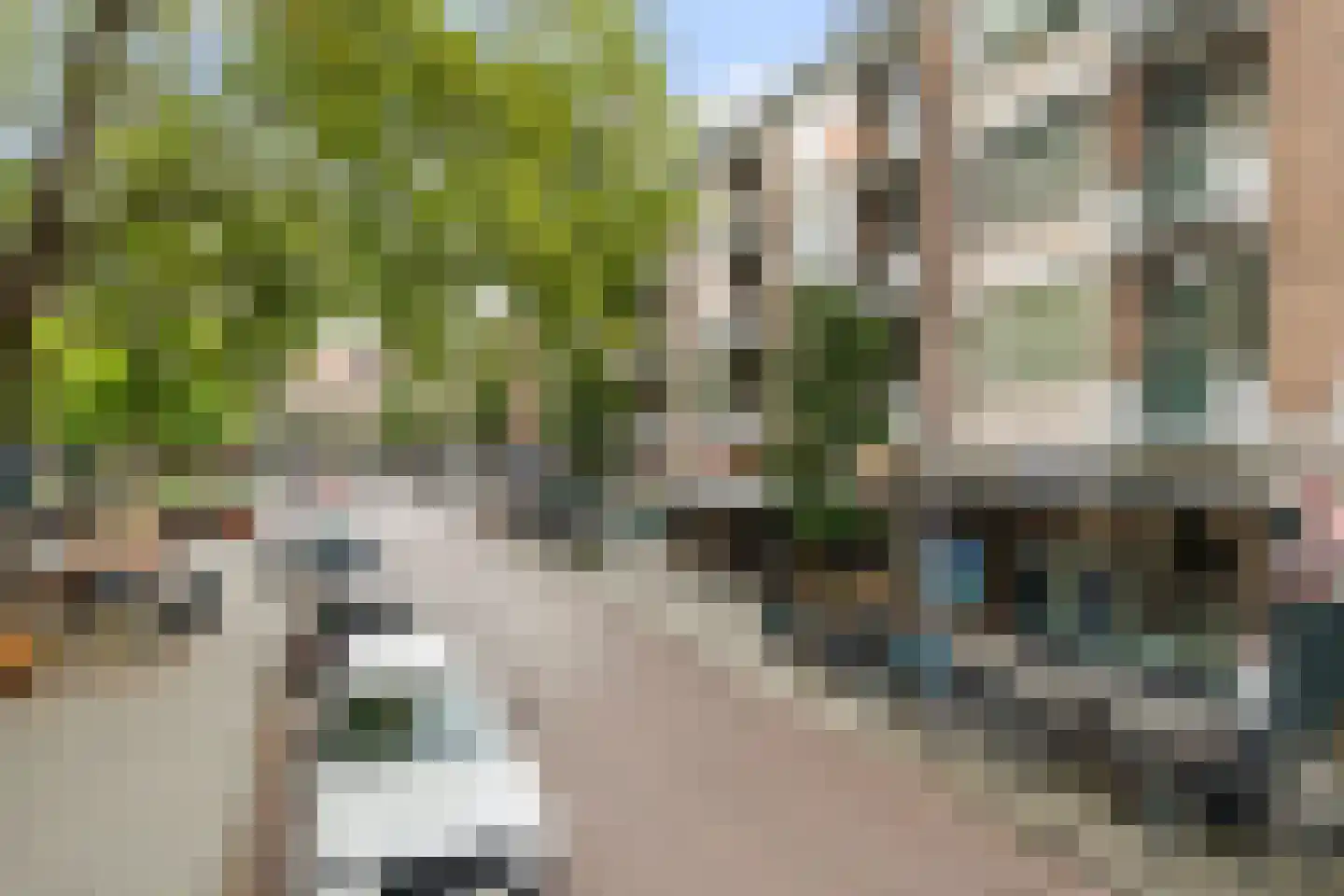Pannekoekstraat 74 C Rotterdam thumbnail 16