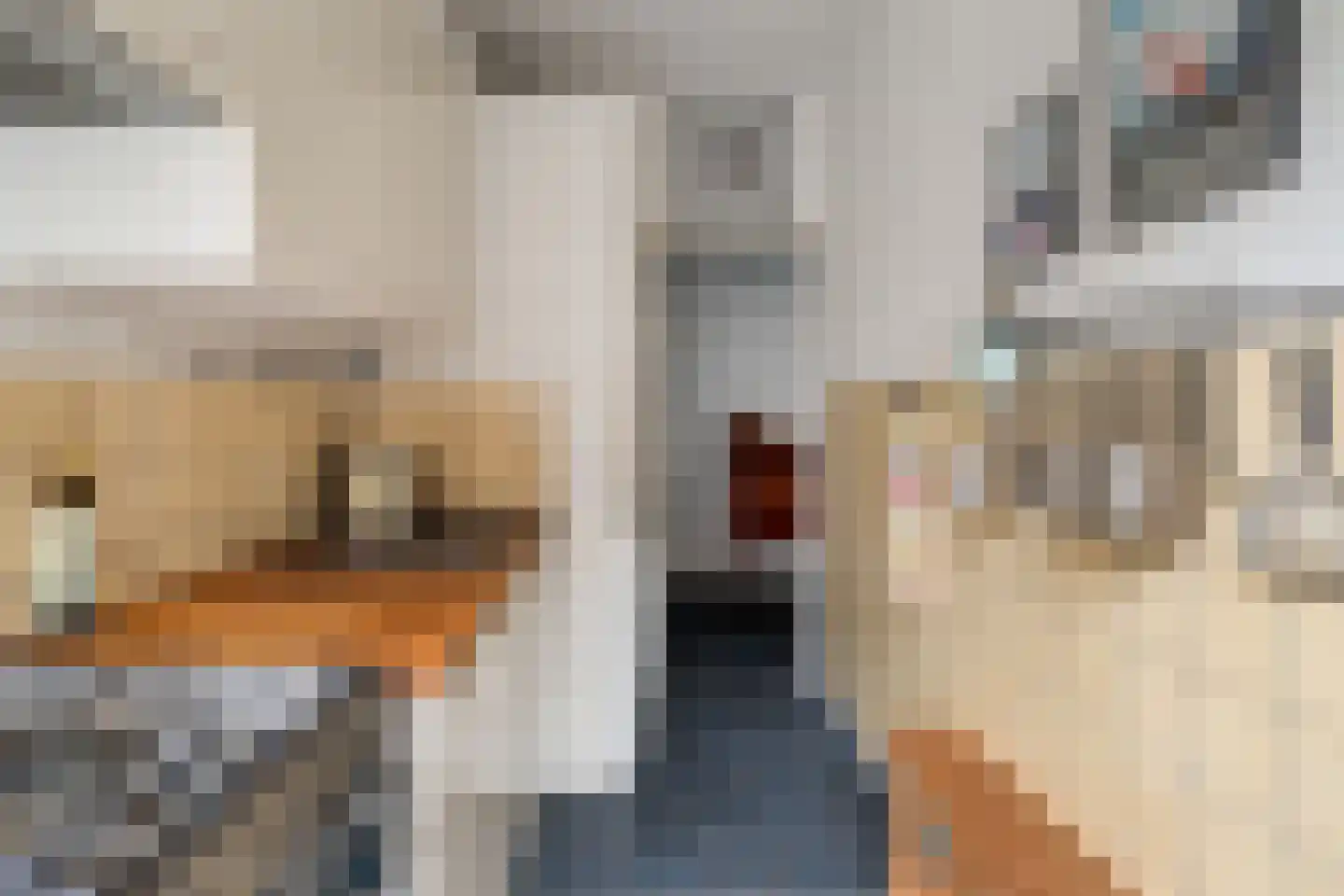 Pannekoekstraat 74 C Rotterdam thumbnail 9