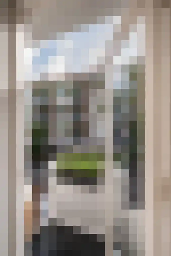 Pannekoekstraat 77 B Rotterdam thumbnail 11