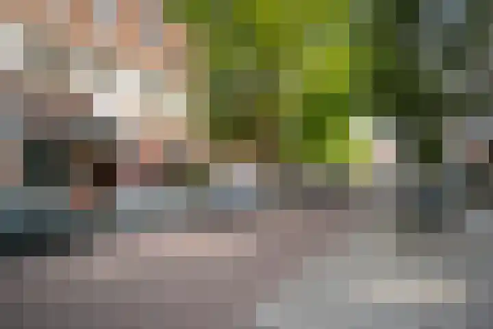 Pannekoekstraat 77 B Rotterdam thumbnail 34