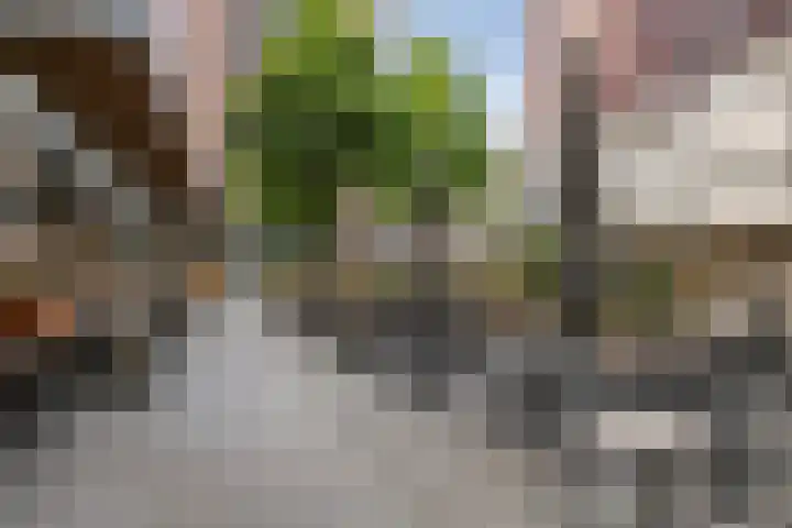 Pannekoekstraat 77 B Rotterdam thumbnail 36