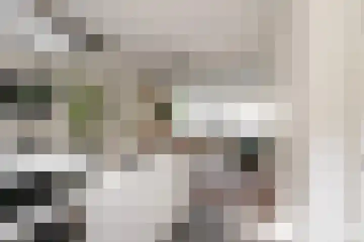 Pannekoekstraat 77 B Rotterdam thumbnail 9