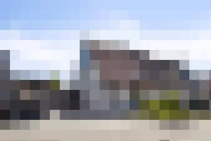 Panneman 14 Steenbergen