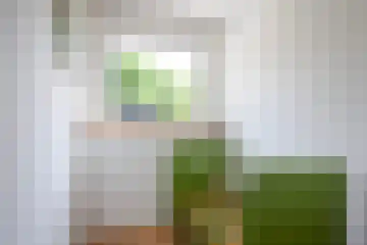 Pannenbakkerijen 18 Woerden thumbnail 19
