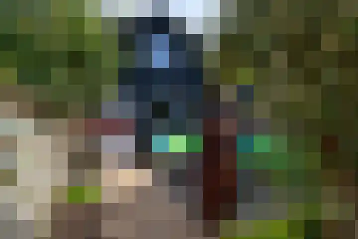 Pannenbakkerijen 18 Woerden thumbnail 26