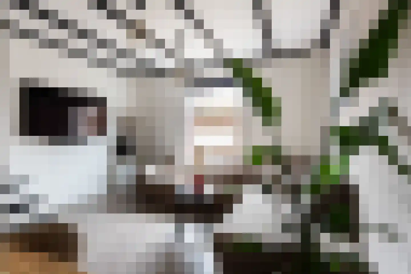 Pannenbakkerijen 20 Woerden thumbnail 15