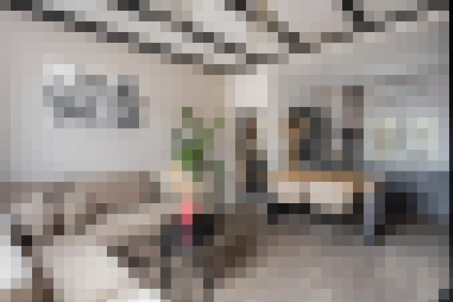 Pannenbakkerijen 20 Woerden thumbnail 17