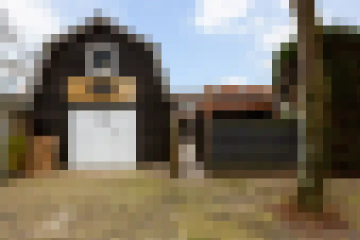 Pannenbakkerijen 20 Woerden thumbnail 36