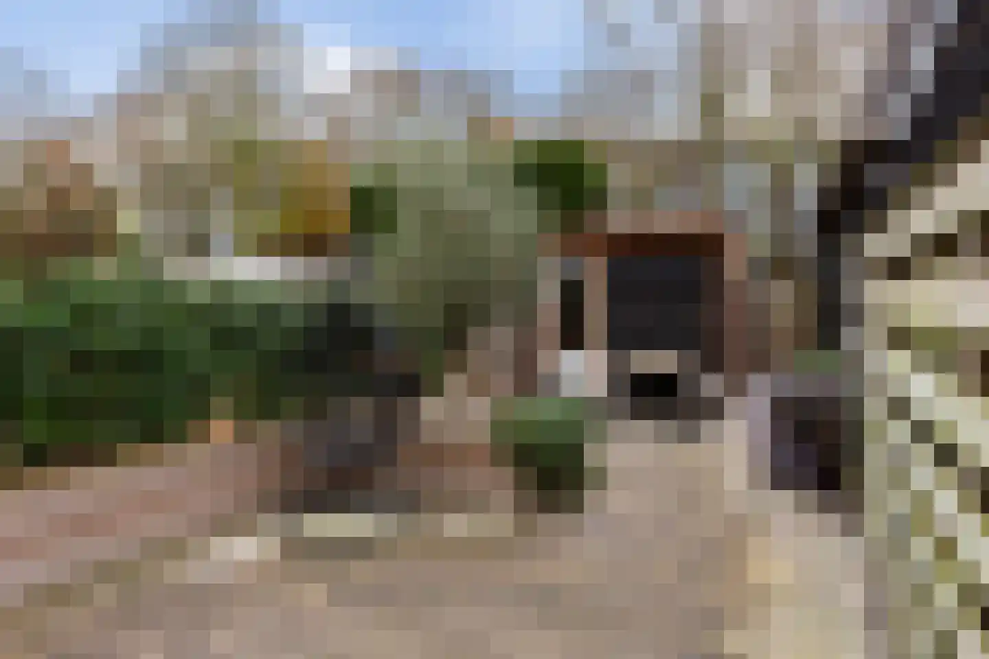Pannenbakkerijen 20 Woerden thumbnail 5