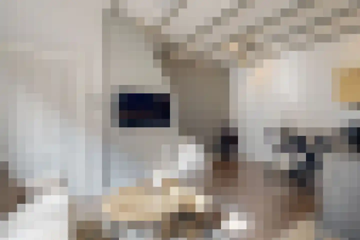 Pannenbakkerijen 33 Woerden thumbnail 8