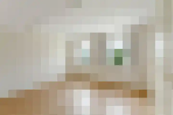 Pannenhoefsebaan 28 Rijsbergen thumbnail 15