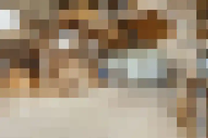 Pannenhoefsebaan 28 Rijsbergen thumbnail 27