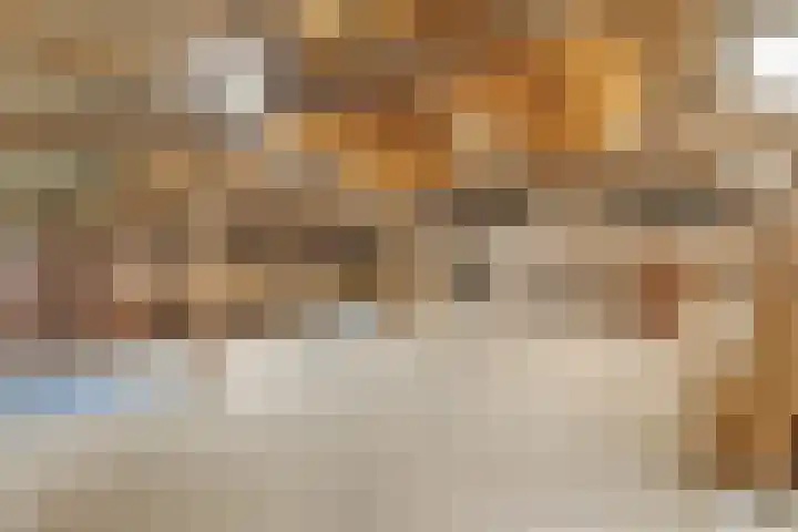 Pannenhoefsebaan 28 Rijsbergen thumbnail 28