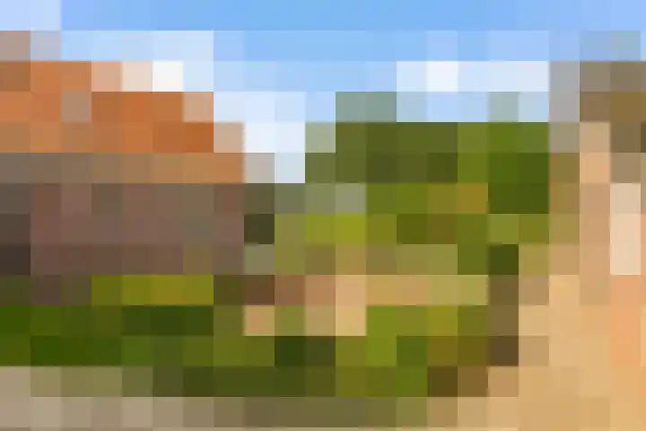Pannenhoefsebaan 28 Rijsbergen thumbnail 29