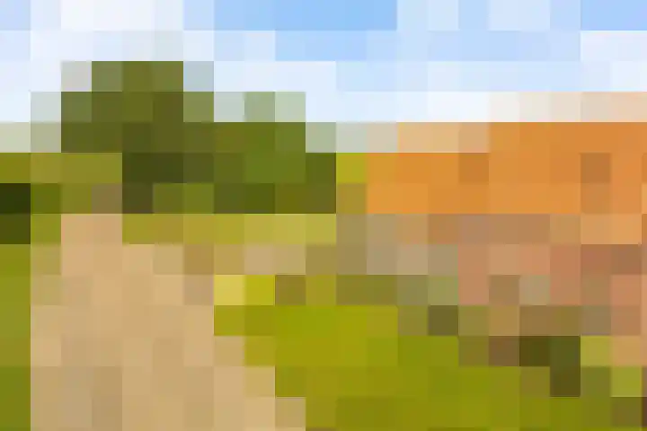 Pannenhoefsebaan 28 Rijsbergen thumbnail 5