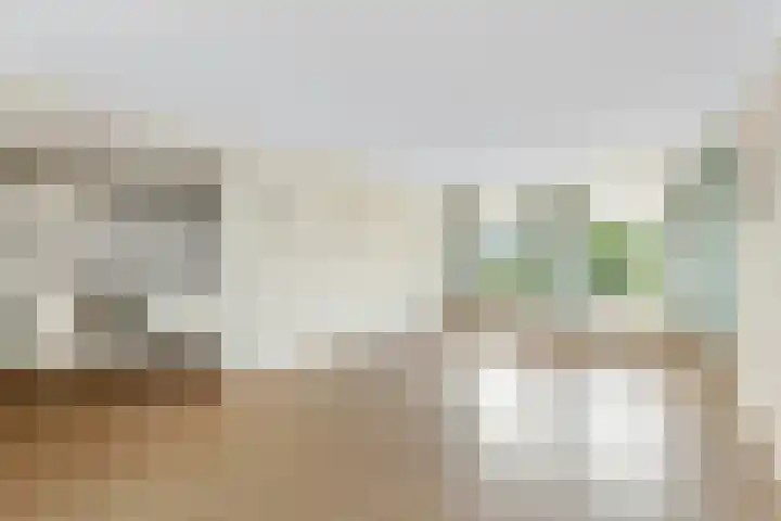 Pannenhoefsebaan 28 Rijsbergen thumbnail 8