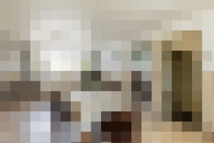 Pannenhoefsebaan 42 Rijsbergen thumbnail 13