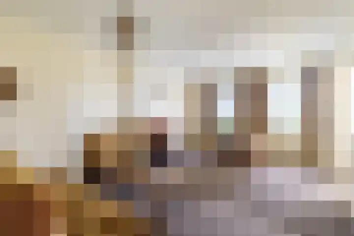 Pannenhoefsebaan 42 Rijsbergen thumbnail 14