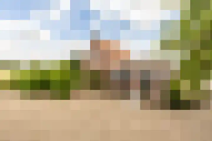 Pannenhoefsebaan 42 Rijsbergen thumbnail 26