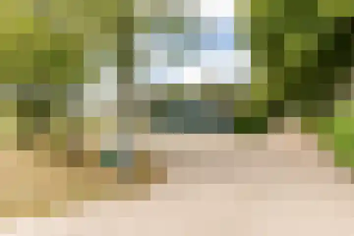 Pannenhoefsebaan 42 Rijsbergen thumbnail 29