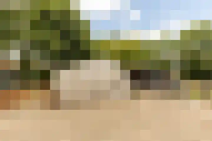 Pannenhoefsebaan 42 Rijsbergen thumbnail 31