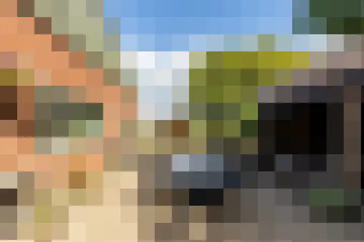 Pannenhoefsebaan 42 Rijsbergen thumbnail 34