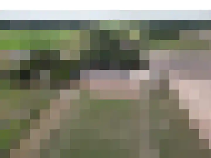 Pannenhoefsebaan 42 Rijsbergen thumbnail 4