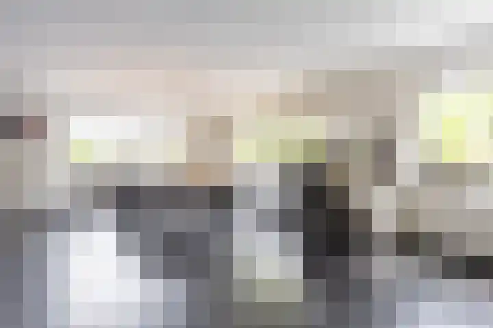 Pannenhoefsebaan 42 Rijsbergen thumbnail 41
