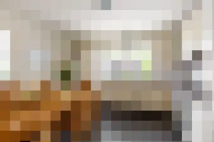 Pannenhoefsebaan 42 Rijsbergen thumbnail 42