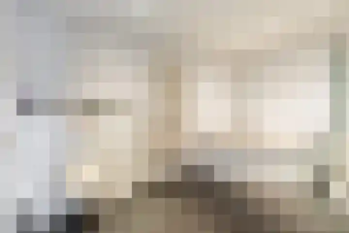 Pannenhoefsebaan 42 Rijsbergen thumbnail 44