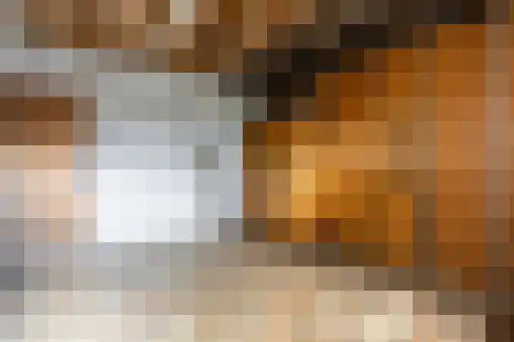 Pannenhoefsebaan 42 Rijsbergen thumbnail 47