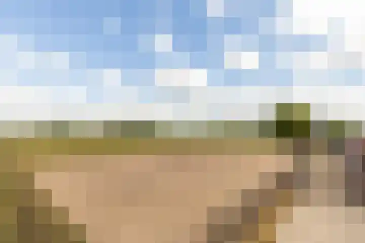 Pannenhoefsebaan 42 Rijsbergen thumbnail 53