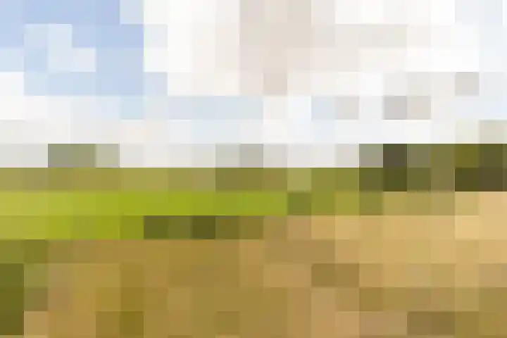 Pannenhoefsebaan 42 Rijsbergen thumbnail 55