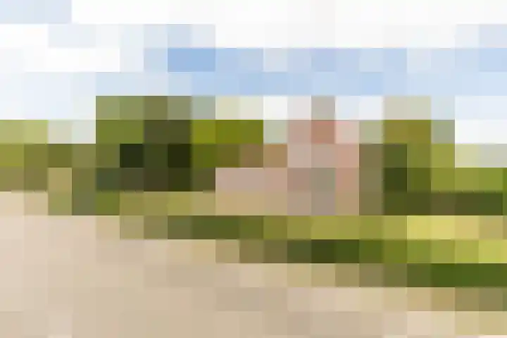 Pannenhoefsebaan 42 Rijsbergen thumbnail 58
