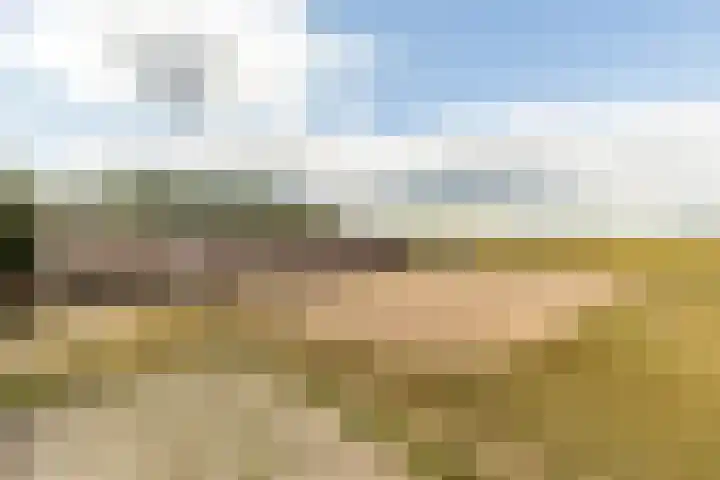 Pannenhoefsebaan 42 Rijsbergen thumbnail 6
