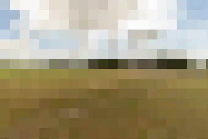 Pannenhoefsebaan 42 Rijsbergen thumbnail 62
