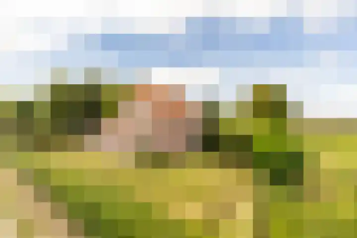 Pannenhoefsebaan 42 Rijsbergen thumbnail 64