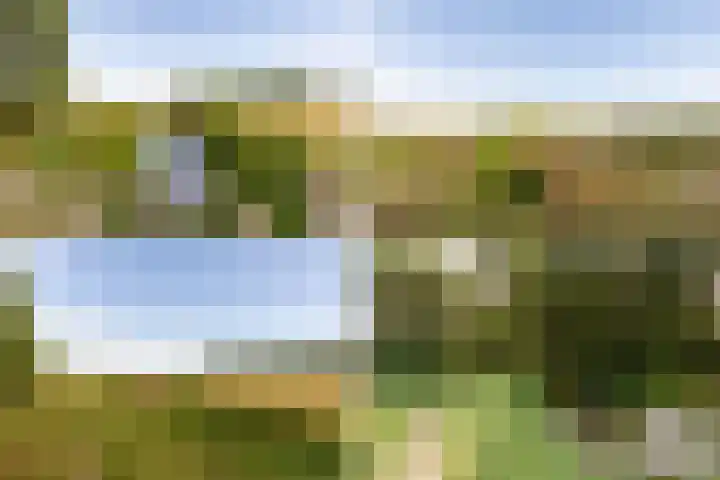 Pannenhoefsebaan 42 Rijsbergen thumbnail 65