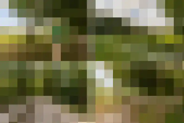 Pannenhoefsebaan 42 Rijsbergen thumbnail 66