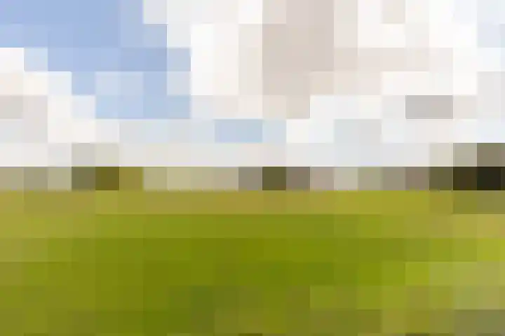Pannenhoefsebaan 42 Rijsbergen thumbnail 7